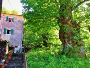 SINGLE HOUSE IN THE GREEN WILD! Casa Karmel